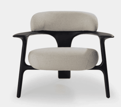 Black-Frame Cushion Lounge Chair